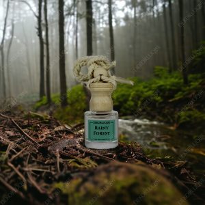 DEKORLUQUE Yağmur Ormanı Araç Kokusu, Dekoratif Asmalı Araba Kokusu, İpli Araç Parfümü, Dolap Kokusu 8 ml