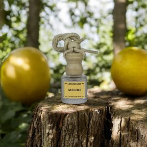 DEKORLUQUE Kavun Araç Kokusu, Dekoratif Asmalı Araba Kokusu, İpli Araç Parfümü, Dolap Kokusu 8 ml